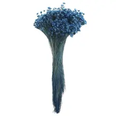 14" Navy Blue Dried Campo Flower Bunch by Ashland&reg;