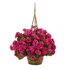 19'' Geranium Hanging Basket