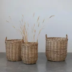 Hello Honey&reg; Natural Woven Rattan Storage Basket Set