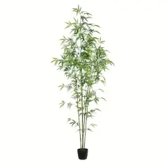 6ft. Potted Mini Bamboo Tree