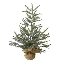 24" Unlit Real Touch&trade;️ Iced Cedar Artificial Christmas Tree