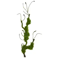 2ft. Moss Twig Vine Plant, 4ct.