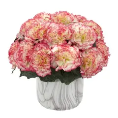 10" Carnation Arrangement in Marble Finished Vase Cream Pink
