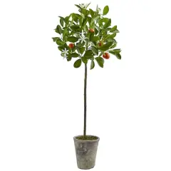 3ft. Potted Orange Tree