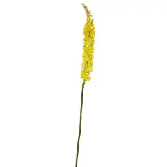 Yellow Foxtail Stem, 3ct.