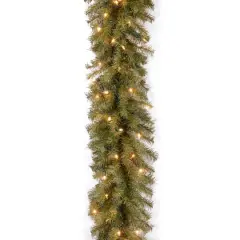 9ft. Pre-Lit Clear Lights Norwood Fir Garland