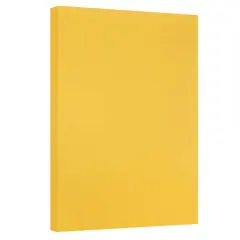 JAM Paper 11'' x 17'' 67lb. Vellum Bristol Cardstock, 50 Sheets Goldenrod