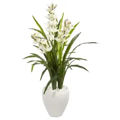 4ft. Boat Orchid Plant in White Planter