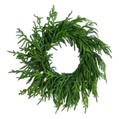 24in. Artificial Real Touch Norfolk Island Pine Wreath with Natural Look