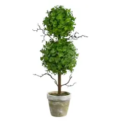 24" Potted Eucalyptus Double Ball Topiary Tree