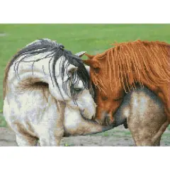 Diamond Dotz&reg; Advanced Courtship Diamond Painting Kit