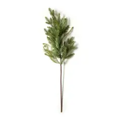 Evergreen Branch by Ashland&reg;
