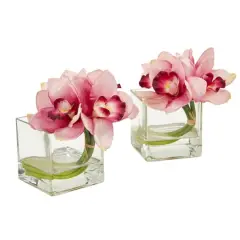 8" Boat Orchid Arrangement in Glass Vase, 2ct. Pink