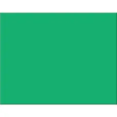 Pacon&reg; Holiday Green 4-Ply Railroad Board, 25ct.