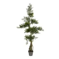 4ft. Potted Cedar Tree