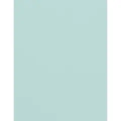 PA Paper&trade; Accents 8.5" x 11" 74lb. Muslin Cardstock Paper, 1,000 Sheets Sea Salt