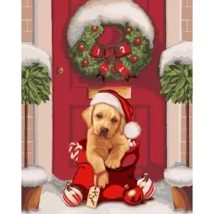 Crafting Spark Christmas Gift Painting by Numbers Kit