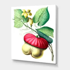 Designart - Vintage American Flowers I - Traditional Canvas Wall Art Print