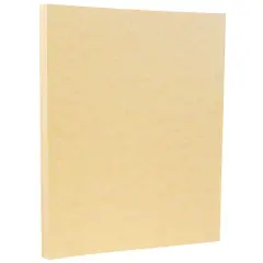 JAM Paper Antique Gold 8.5" x 11" Parchment Cardstock, 250 Sheets