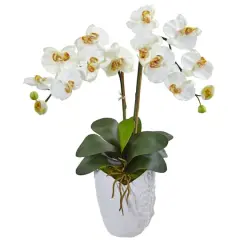23" White Double Stem Orchid Arrangement in White Textured Vase
