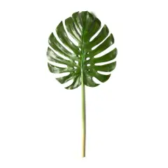 Tropical Monstera Leaf Stem by Ashland&reg;