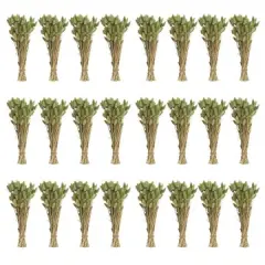 Hello Honey&reg; 15" Dried Natural Bunny Tail Grass Bunches, 24ct.