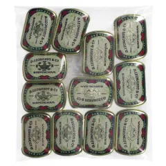 Manuscript Nib Storage Tin, 12ct.