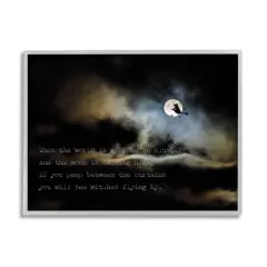 Stupell Industries Witch Flying By Moon Framed Giclee Art Gray
