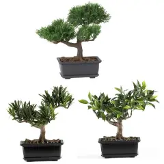 8.5" Potted Bonsai Collection, 3ct.