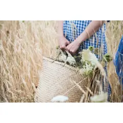 Hello Honey&reg; Beige Woven Seagrass Basket with Handles, 2ct.