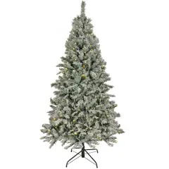 7.5ft. Pre-Lit Snowy Harwich Artificial Christmas Tree, Dual Color&reg; LED Lights