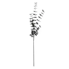 Tall Black Eucalyptus Stem by Ashland&reg;