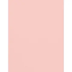 PA Paper&trade; Accents 8.5" x 11" 73lb. Muslin Cardstock Paper, 1,000 Sheets White Plum