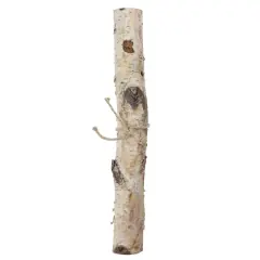 16" Birch Log by Ashland&reg;