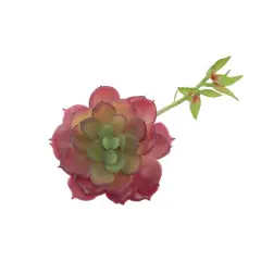 Flora Bunda&reg; Red Echeveria Lola Succulent Pick, 6ct.
