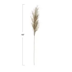 Hello Honey&reg; Bristle Grass Branch, 12ct. Sage