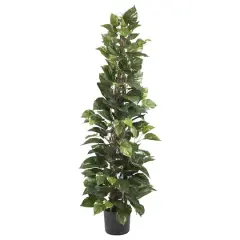 5ft. Potted Pothos Climbing Tree