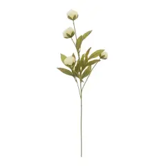 Cream Peony Stem by Ashland&reg;