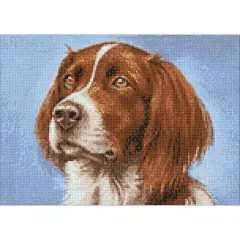 Wizardi Setter Diamond Painting Kit