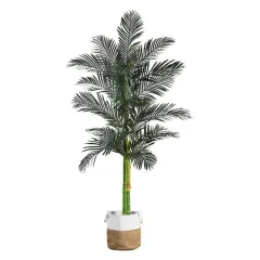 8ft. Golden Cane Palm Tree in Handmade Natural Cotton Planter