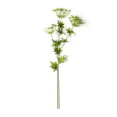 Light Green Queen Anne's Lace Spray by Ashland&reg;