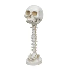 14.5" LED White Skull Stand Tabletop D&eacute;cor by Ashland&reg;