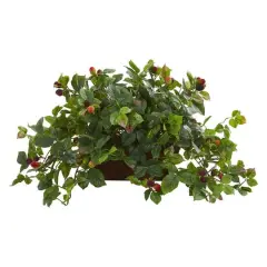 16" Raspberry Plant in Decorative Planter