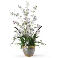 2ft. White Dancing Lady Orchid Arrangement in Ceramic Vase