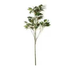 Osmanthus Stem by Ashland&reg;