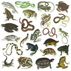 Reptiles Die Cut Stickers by Recollections&trade;
