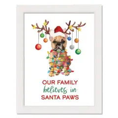 Our Family Believes in Santa Paws White Framed Wall Art