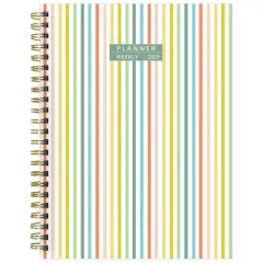 TF Publishing 2025 Medium Malibu Stripes Weekly Monthly Spiral Planner