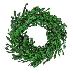 18" Spring Boxwood Wreath