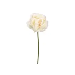 Cream Blush Peony Stem